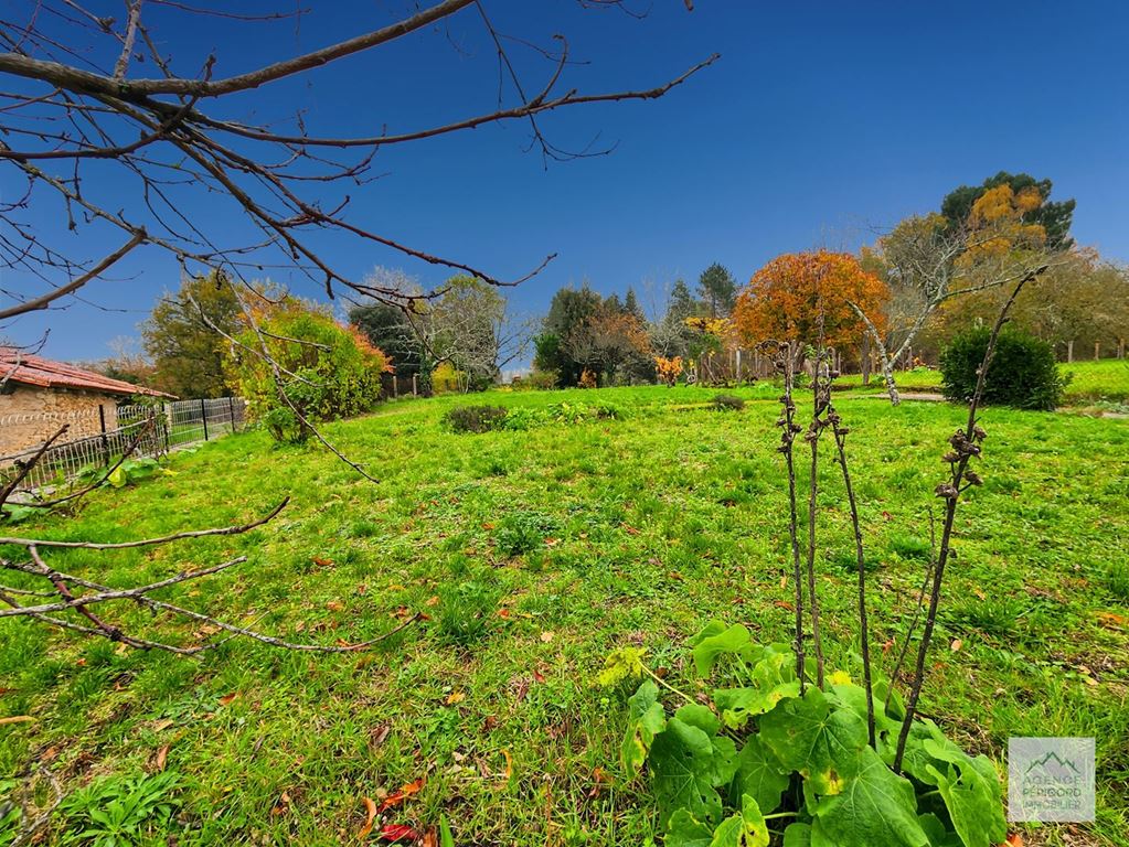 Maison de village SEGONZAC (24600) AGENCE PERIGORD IMMOBILIER